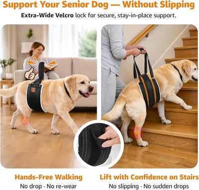 LOOBANI Dog Lift Harness for Back Legs, Portable Dog Sling for Large Dogs Hind Leg Support, Comfortable Supports Helps Canie Hip Arthritis K9 Cruciate Ligament Rehabilitation