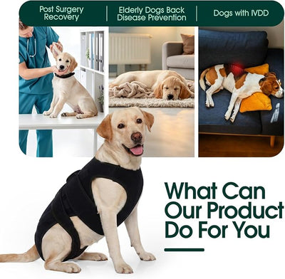 Dog Back Brace for IVDD Recovery, Adjustable Dog Spine Support Harness for Dachshund Corgi French Bulldog Pug, Pain Relief Back Protector for Senior,Post‑Surgery,Long‑Bodied & Overweight Dogs, XS