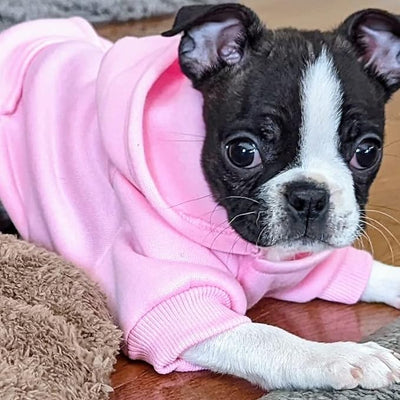 Jecikelon Soft Dog Hoodies for Small Dogs, Fleece Puppy Sweatshirt with Pockets, Warm Winter Cold Weather Coats for Pet Cat, Cute Clothes Puppy Costume (Pink, XX-Small)