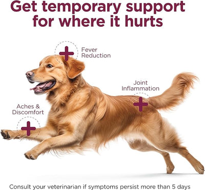 Vetality Canine Aspirin for Dogs | Fast Pain Relief | Large to X-Large Dogs | Liver Flavor | 120 Chewable Tablets