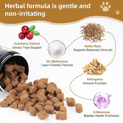 Petnanny Urinary Tract Support Soft Chews for Dogs, Cranberry Supplement for Dogs, Supports Bladder Health, pH Balance & Immunity, Chicken Flavor