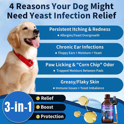Natural Yeast Infection Treatment for Dogs | Probiotic-Powered Drops with 8-Herbal Blend | Supports Skin, Ears, Allergy Relief | Dog Yeast Infection Treatment Oral Supplement | Bacon-Flavored-2PC