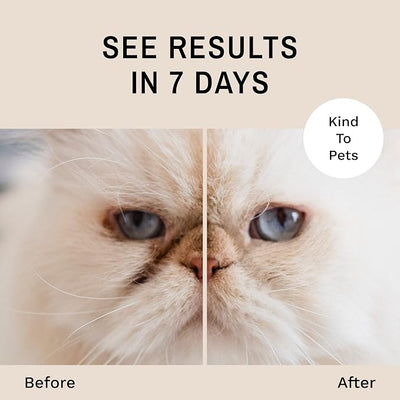 Eye Envy Tear Stain Remover Powder for Dogs and Cats. Natural, Safe Formula. Apply Around Eyes. Absorbs and Cleans Tears and Staining. Keeps Area Dry. Made in The USA. (2.5 oz)