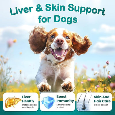 150 Chews Milk Thistle for Dogs Advanced Milk Thistle Supplement for Dogs with Curcumin Choline Fish Oil Prebiotics Healthy Liver Skin Coat Immune Boost Fit Large Small Medium Breed Chicken Flavor