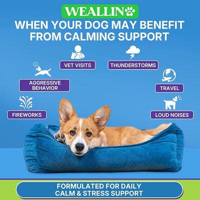 WEALLIN Calming Chews for Dogs, Dog Calming Chews with Organic Hemp Seed Oil & Powder, Soft Calming Treats for Stressful Moments, Travel, Thunder, Fireworks, Chicken Flavor, 200 Chews