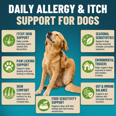 Probiotics for Dogs, 200 Soft Dog Probiotic Chews for Dogs Gut Health Digestive & Immune Support, Dog Probiotics for Yeast Itchy Skin with Digestive Enzymes, Pumpkin, Constipation & Diarrhea Relief