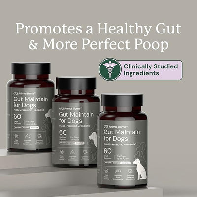 Animal Biome Probiotics for Dogs with S Boulardii, Gut Maintain (30 Capsules) – Triple-Action Medium Dog Probiotics, Prebiotics & Phage Supplements for Gut Health, Firmer Stool & Diarrhea Support