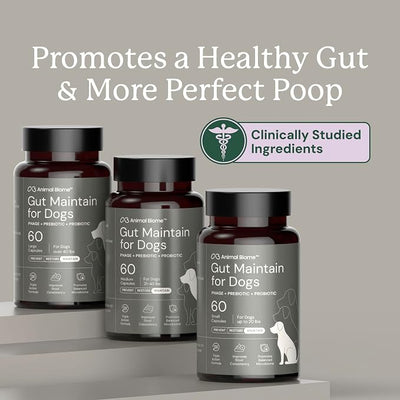 Animal Biome Probiotics for Dogs with S Boulardii, Gut Maintain (30 Capsules) – Triple-Action Small Dog Probiotics, Prebiotics & Phage Supplements for Gut Health, Firmer Stool & Diarrhea Support
