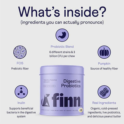 Finn Digestive Probiotics for Dogs | Pumpkin & Prebiotics | Peanut Butter | 6 Live Probiotic Strains, 3 Billion CFU | NASC Certified | Vet Recommended | Supports Regularity & Immune Health