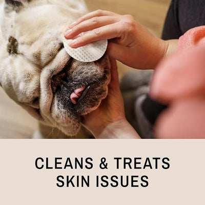Eye Envy Bulldog Wrinkle Cleaner & Nose Care Kit. Bulldog Wrinkle Wipes, Tear Stain Powder, Applicator Brush & Dog Nose Balm. Cleans Skin Folds. Removes Stains. Helps Cracked Noses. Made in USA