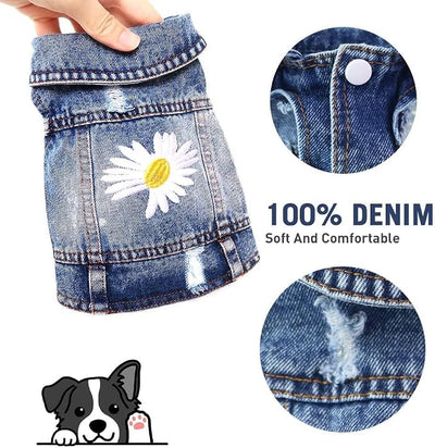 Dog Denim Jacket with Embroidered Daisy, Ripped Vintage Jean Vest for Small Dogs, Pugs, Chihuahuas, Spring Summer Fall Festival Outfit, XXL (Fits Chest 19-20.5", NOT for Large Dogs)