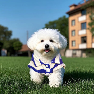 Dog Shirt Polo Shirt Striped Collar Puppy Clothes Summer Button Up Pet Clothes for Small Medium Dogs Cats for Boy Girl Pets (Royal Blue, X-Large)