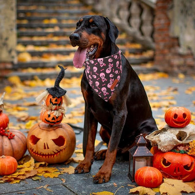PTDECOR Halloween Dog Bandana, Pink Skeleton Pumpkin Reversible Holiday Dog Scarf, Triangle Female Halloween Bandanas for Large X-Large Dogs Pets (X-Large)