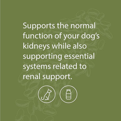 Standard Process Canine Renal Support - Dog Supplement for Kidney, Liver & Heart Health - Animal Supplement for Your Dog's Health - 3.9 oz (70 Servings)