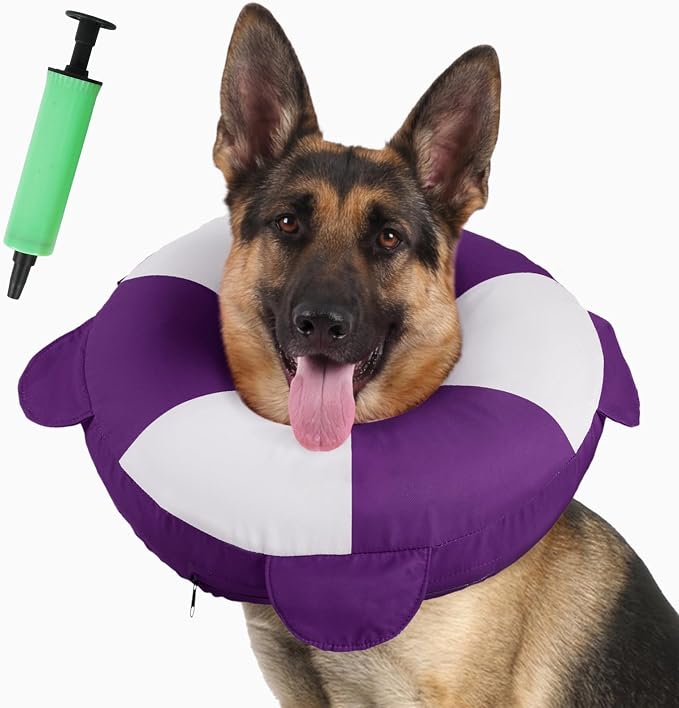 IECOii Inflatable Dog Recovery Collar, Comfortable Cone Alternative | Comfort Beyond the Cone | Pillow-Like Comfort | Full-View Freedom | Lick-Free Healing | Stay-Put Fit | Easy-Clean Design