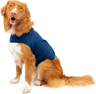 Dog Anxiety Calming Wrap, Medium