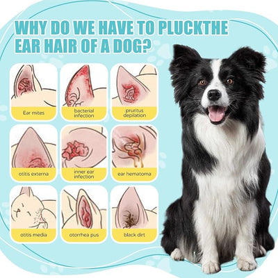 Dog Ear Powder for Hair Removal & Ear Plucking, Professional Ear Powder for Dogs Grooming, Helps Remove Excess Ear Hair Easily, Improves Grip for Safe Dog Ear Care and Maintenance