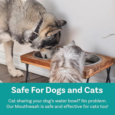 Dog Mouthwash, Dental Water Additive for Fresh Breath, Plaque & Tartar Control, Best Natural Cleaning Freshener Formula for Healthy Teeth & Gums, Advanced Easy-to-Use Oral Care Solution