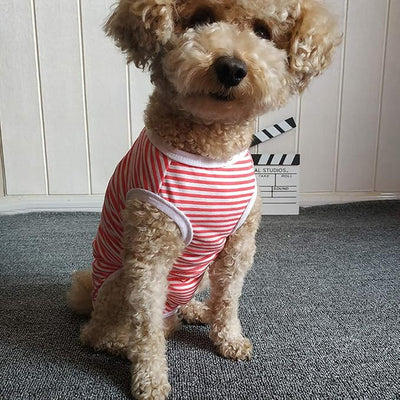 Dog’s Recovery Suit Post Surgery Shirt for Puppy, Wound Protective Clothes for Little Animals(red White Stripe-xs)