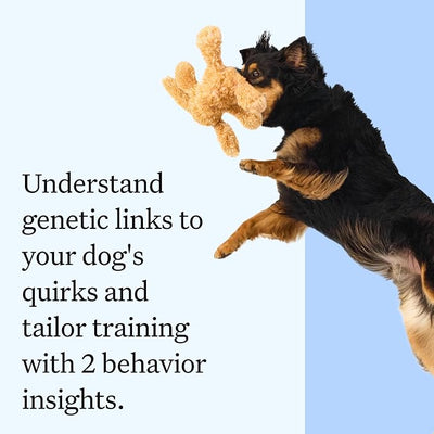 Wisdom Panel Essential Dog DNA Testing Kit - Most Accurate Test for 430+ Dog Breeds, 30 Genetic Health Conditions, 50+ Traits, Relatives, Ancestry, 2 Pack