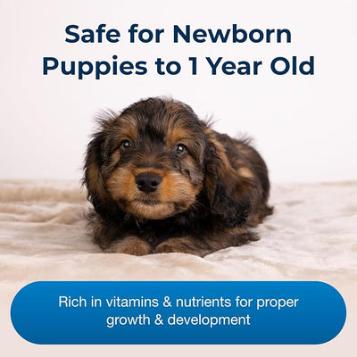 PetAg Esbilac Puppy Milk Replacer Powder - 12 oz, Pack of 2 - Powdered Puppy Formula with Prebiotics, Probiotics & Vitamins for Puppies Newborn to Six Weeks Old - Easy to Digest
