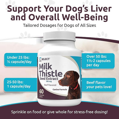 Milk Thistle Dog Liver Supplement 100mg | Liver Support & Detox for Dogs | 60 Beef Flavored Tablets | Canine Liver Health Formula | Natural Milk Thistle for Dogs Liver Support