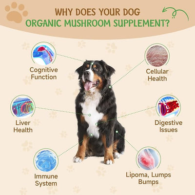 9 in 1 Mushroom Supplement for Dogs - Turkey Tail Mushroom for Dogs - Dog Lumps and Bumps Treatment - Digestive, Cellular, Immune Health Support - Reishi, Lions Mane, Shiitake - Roast Chicken Flavor