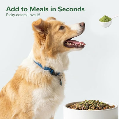 Dog Dental Powder, Dental Powder for Dogs Teeth Cleaning and Breath Fresh, Dog Dental Care with Natural Enzymes, Probiotics, Tartar Remover and Plaque Off - 150g
