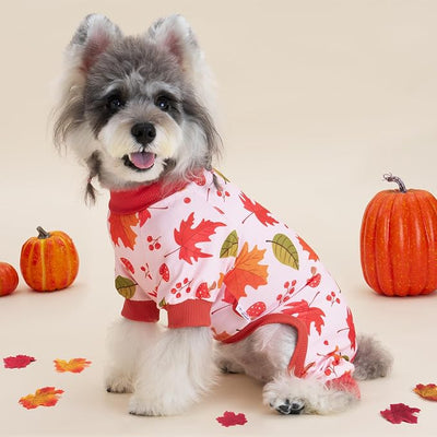 XPUDAC 4 Pack Thanksgiving Turkey Dog Pajamas Soft Strechy Puppy Onesies Funny Pet Fall Clothes for Small Medium Dogs Boy Girl Cat Doggy Costume, S