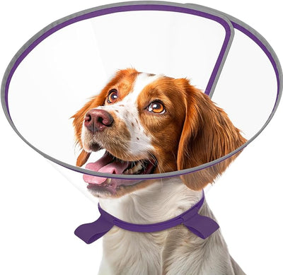 Clear Dog Cone for Medium Dogs After Surgery, Adjustable E-Collar to Stop Licking with Padded Neck for Corgi, Shiba Inu, Soft Recovery Collar with Reflective Trim for Night Visibility, Purple
