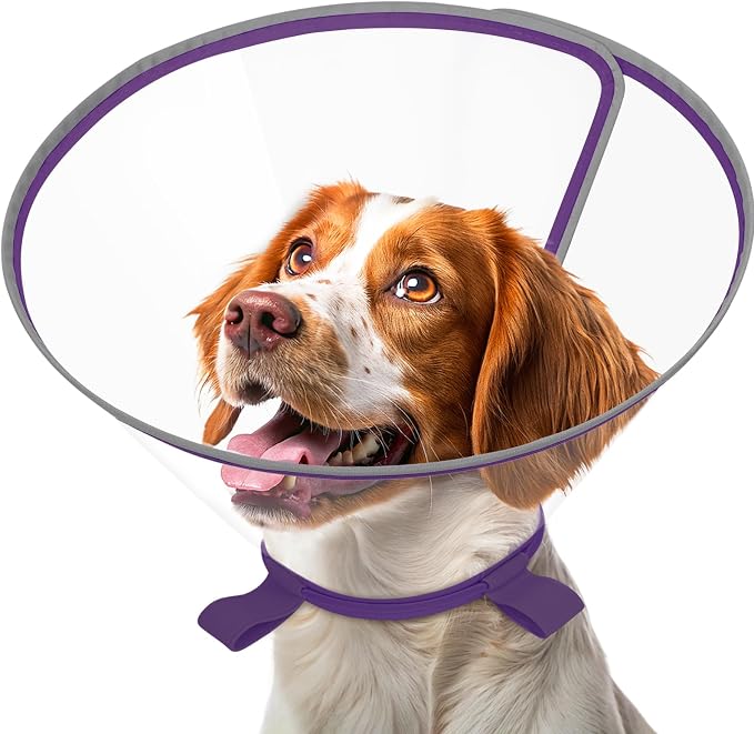 Clear Dog Cone for Medium Dogs After Surgery, Adjustable E-Collar to Stop Licking with Padded Neck for Corgi, Shiba Inu, Soft Recovery Collar with Reflective Trim for Night Visibility, Purple