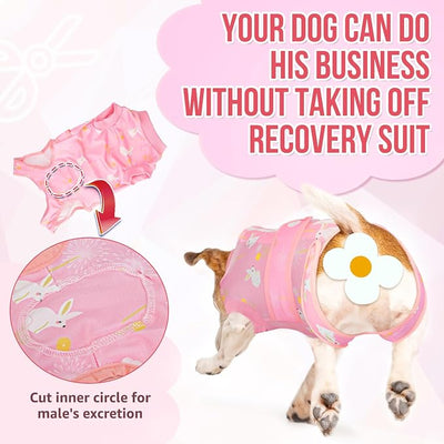 Lukovee Recovery Suit for Dogs, Zipper On Recovery Suit for Female Male Dog, Onesie Abdominal Wounds Cone E-Collar Alternative Prevent Licking Spay Recovery Suit (XXL,2PI)