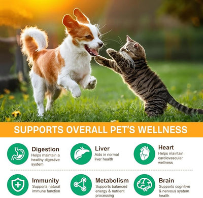 Mushroom Supplement Powder for Dogs & Cats, 2 Pack Turkey Tail Mushroom for Dog, Enriched with Antioxidants, Immune Support, Cellular Protection, Joint & Skin Support, Mushrooms Complex for Pets