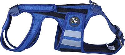 Coodeo Dog Back Brace for Dogs Arthritis, Pet Back Bracer for IVDD, Back Protector Helps Pain Relief, Surgical Recovery and Rehabilitation, Dogs Back Disease Prevention. (Blue,Large)