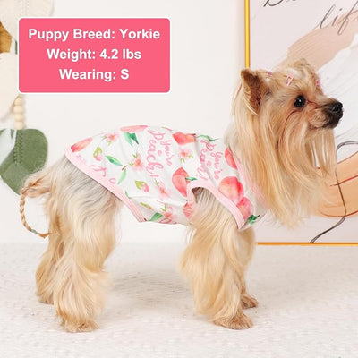 Dog Shirt Vest Dog Clothes for Small Dogs Boy Girl Stretchy Summer Puppy T-Shirts Soft Breathable Lightweight Puppy Sweatshirt Pet Cat Outfit (Peach, X-Small)
