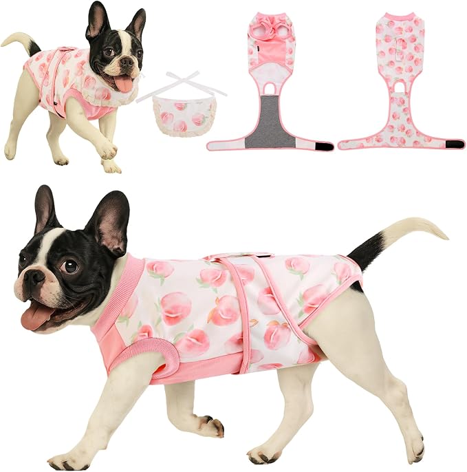 Soft Recovery Suit for Female/Male Dog Cat After Spay/Neuter Surgery, Bandana Set Included, E-Collar Cone Alternative Anti Licking Abdominal Wounds, Small Dogs Full Body Onesie, Pet Onesies Bodysuit
