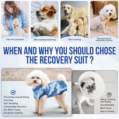 SlowTon Dog Recovery Suit - Surgery Recovery Suit for Female Male Dogs, Dog Onesie After Spay Abdominal Wounds, E-Collar Cone Alternative Prevent Licking Pet Surgical Suit(Blue,L)