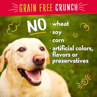 Charlee Bear Crunchy Dog Training Treats, Low Calorie (3 Kcal), Grain Free Natural Mini Treats for Puppies, Small, Medium & Large Dogs, USA Made, Healthy Chicken, Pumpkin & Apple Flavor 8oz (3-Pack)