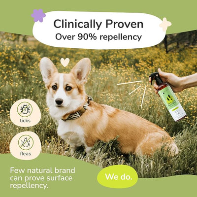 kin+kind Natural Flea and Tick Prevention for Dogs & Cats, Non-Greasy Coat Spray, Lemongrass, Vet-Formulated, 12 fl oz