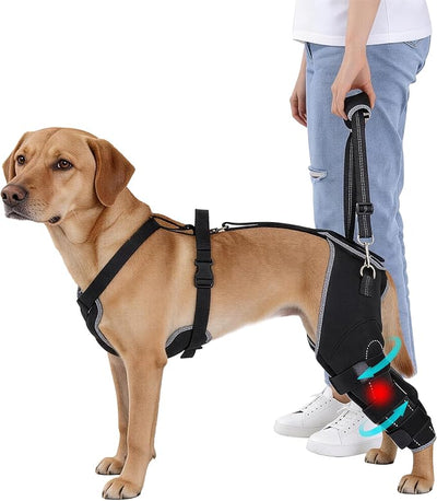 BALAPET Dog Rear Leg Brace for ACL/CCL Injury, Hinged Hind Leg Support Harness for Weak Back Legs, Torn ACL, Post-Surgery Recovery, Stairs, Car & Walking Assistance(M)
