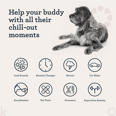 Kradle Chillers Hard Chews for Dogs - Ashwaganda GABA L-Theanine - Supports a Calm Demeanor - 6 Hard Chews