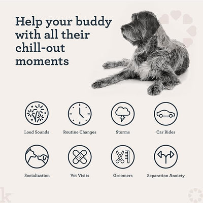 Kradle Calming Chews for Dogs - Anxiety and Stress Support - L-Theanine Ashwagandha GABA - Calming Supplement for Relaxation and Stress - Chicken Flavor- 75 Chews