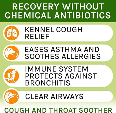 Kennel Cough Treatment for Dogs & Cats - Collapsed Trachea & Cat Asthma Support - Dog Cough Suppressant - Liquid Throat Soother - Dry, Wet & Barky Pet Cough Relief for All Breeds - Made in USA - 2 Oz