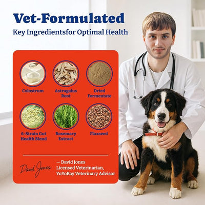 Dog Allergy Relief Chews – 70 Soft Chews, Salmon & Blueberry Flavor - Immune Support & Itch Relief with Colostrum, Astragalus Root, 6-Strain Gut Health Blend