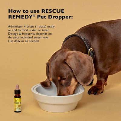 RESCUE Remedy Pet Dropper - 20mL, Pack of 3 - Stress & Tension Support for Dogs & Cats with Bach Natural Flower Essences - Sedative-Free, Homeopathic Liquid Formula - for All Breeds, Ages & Weights