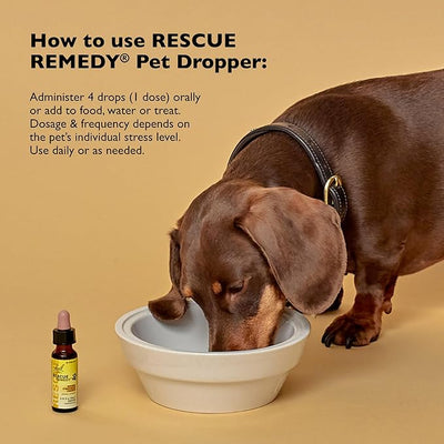 RESCUE Remedy Pet Dropper - 20mL, Pack of 2 - Stress & Tension Support for Dogs & Cats with Bach Natural Flower Essences - Sedative-Free, Homeopathic Liquid Formula - for All Breeds, Ages & Weights