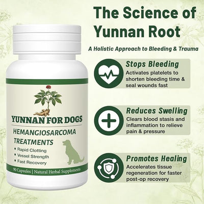 yu nan Capsules for Dogs – Natural Herbal Quick Stop Bleeding & Blood Support for Hemangiosarcoma, Hemoabdomen, Pericardial Effusion, Cancer Bleeding, Ulcers & Bloody Stools– 90 Capsules