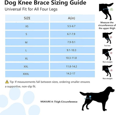 Dog Knee Brace for Torn ACL/CCL & Hind Leg Support - Adjustable Brace for Arthritis Relief, Joint Stability & Injury Recovery - Fits Small & Medium Dogs