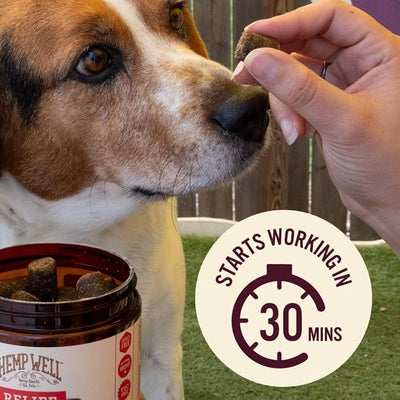 Hemp Well Relief Dog Soft Chews, Organic Hemp, Aches & Discomfort Support