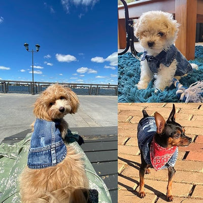 Jean Jacket for Dogs, Blue Denim Lapel Vest Coat Costume, T-Shirt Clothes, Cool and Funny Apparel Outfits, Machine Washable for Small Medium Dogs Cats (XXL)